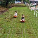 신기가족농장 이미지