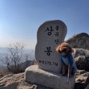 양주시의회(등산로 화장실) | [경기도 양주 애견동반등산] 불곡산 상봉 초보 등산 코스 추천