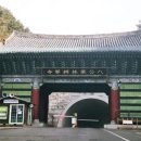 동화사제2약수터 | 대구 팔공산 동화사 명절 가족 나들이 추천 | 힐링 사찰 여행 코스 총정리