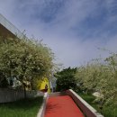 버들카페 이미지