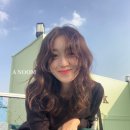 아눔헤어 이미지