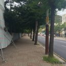 지천사거리 부근 이미지