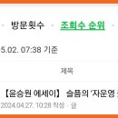 자운영꽃
