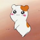 이* - 해남군 | 이*