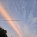 아도농장 이미지