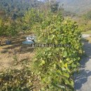 내서읍380 이미지