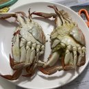 지랄닭발 주안점