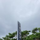 (주)에코원 | 대전 근처산책 할만한곳,저녁에 운동할만한곳, 한밭수목원 방문후기