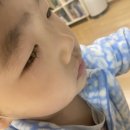 365밝은약국 이미지