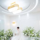 서울대학교 | 서울대 호암교수회관 본식스냅 웨딩 서울대학교 결혼식장 주차 후기