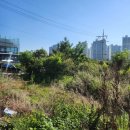 이철우공인중개사사무소 이미지