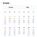 햇빛농장 네이버블로그