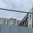 선화초교 이미지