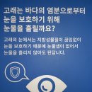 고기사이소 이미지
