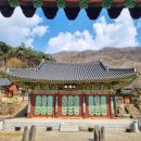 영광 불갑사 대웅전 | 영광 불갑사 - 영광 불갑사 대웅전 · 영광 불갑사 천왕문 · 불갑사 만세루