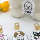 강아지 그리다 이미지