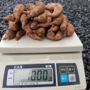 가지산천마영농조합 이미지