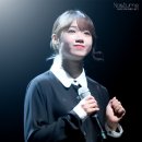 귀엽댕 이미지