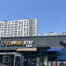 커핑스테이
