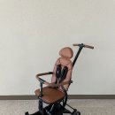 원대카플러스 | [내돈내산] 에이블 유모카 플러스 후기이 - 휴대용유모차 샀다가 또 구매한 트라이크