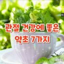 자생건강약초