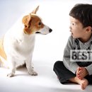 애완동물을 키우면 아이 면역력이 높아 진다? 이미지