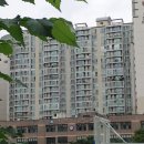 서운로21길 2 (1) 이미지