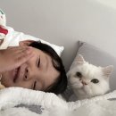 아이큰별유치원 | 대구화원큰별유치원