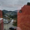 휴모스트 이미지
