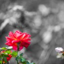 한때-아름다운 시간 이미지