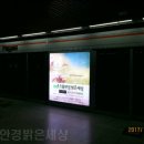 으뜸밝은세상안경 이미지