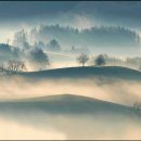 신선량 | 천도복숭아의 훌륭한 건강 효과, 어떤 것들이 있을까