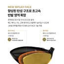 2025 젝시오 프라임 로얄 에디션 6 신형 클럽 시타 구매 후기