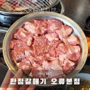 서대전역 | 오류동 맛집 한점갈매기, 서대전역 근처 숨은 로컬 고기집