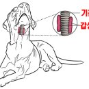 Dr.오즈동물병원 이미지
