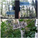 기룡산 등산로2 이미지