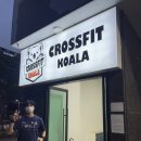 등촌동 크로스핏 : 크로스핏 코알라 1회 무료체험 신청 후기