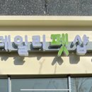 더 데일리 펫샵 이미지