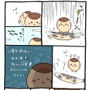 카니 이미지