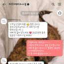 양재 aT포레 본식 아이폰스냅 아우어데이즈 내돈내산 추천 후기