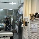 테리네간식 이미지