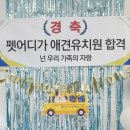 펫어디가 이미지