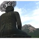 신흥사 이미지