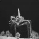 디테일라이프 이미지