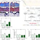 청담리투의원 이미지