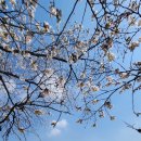 도고컨트리구락부 이미지