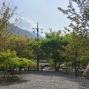 얼음골향림 이미지