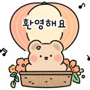모바르지 네이버블로그