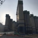 로얄파크장 이미지