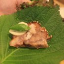 고향족발 이미지